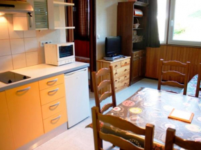 Confort fonctionnel, navette au pied, proche centre & pistes - FR-1-814-29 Besse-Et-Saint-Anastaise